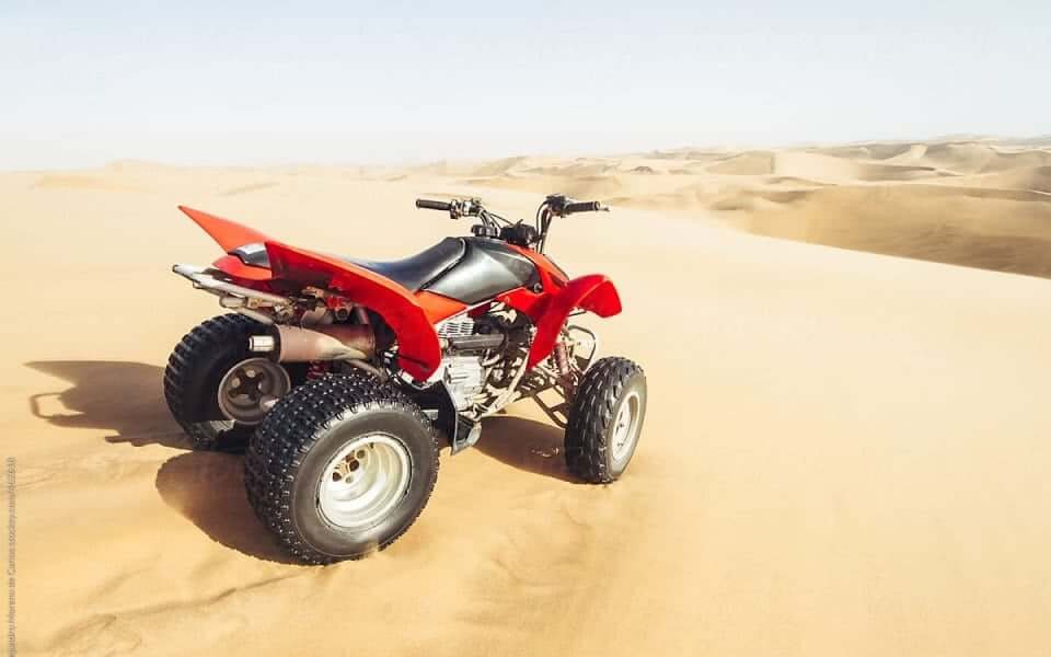 Custom Terminal Solutions for Performance and Modified Vehicles
